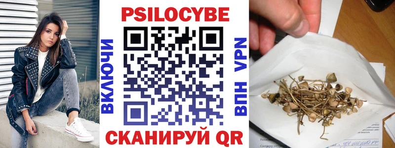 где можно купить наркотик  Котельнич  Псилоцибиновые грибы ЛСД 
