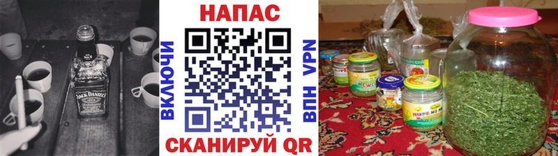 Бошки Шишки ГИДРОПОН это телеграм Котельнич